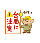 動け！トイプーのぷう太郎の夏（個別スタンプ：20）