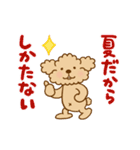動け！トイプーのぷう太郎の夏（個別スタンプ：21）