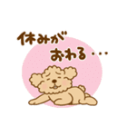 動け！トイプーのぷう太郎の夏（個別スタンプ：22）