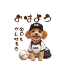 がんばれ！高校球犬トイプードル（個別スタンプ：1）