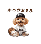 がんばれ！高校球犬トイプードル（個別スタンプ：3）