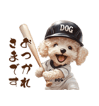 がんばれ！高校球犬トイプードル（個別スタンプ：4）