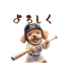 がんばれ！高校球犬トイプードル（個別スタンプ：7）