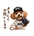 がんばれ！高校球犬トイプードル（個別スタンプ：8）