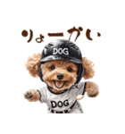 がんばれ！高校球犬トイプードル（個別スタンプ：9）