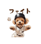 がんばれ！高校球犬トイプードル（個別スタンプ：14）