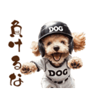 がんばれ！高校球犬トイプードル（個別スタンプ：17）