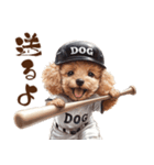 がんばれ！高校球犬トイプードル（個別スタンプ：18）
