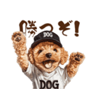 がんばれ！高校球犬トイプードル（個別スタンプ：20）