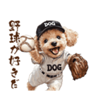 がんばれ！高校球犬トイプードル（個別スタンプ：23）