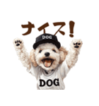 がんばれ！高校球犬トイプードル（個別スタンプ：24）