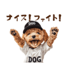がんばれ！高校球犬トイプードル（個別スタンプ：25）