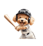 がんばれ！高校球犬トイプードル（個別スタンプ：28）