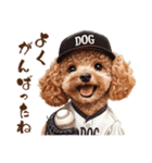 がんばれ！高校球犬トイプードル（個別スタンプ：29）