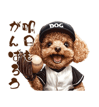 がんばれ！高校球犬トイプードル（個別スタンプ：31）