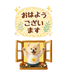 癒しポメラニアンの気軽な敬語【BIG】（個別スタンプ：5）