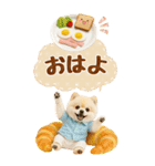 癒しポメラニアンの気軽な敬語【BIG】（個別スタンプ：6）