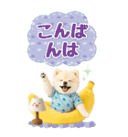 癒しポメラニアンの気軽な敬語【BIG】（個別スタンプ：8）