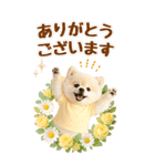 癒しポメラニアンの気軽な敬語【BIG】（個別スタンプ：9）
