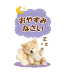癒しポメラニアンの気軽な敬語【BIG】（個別スタンプ：16）