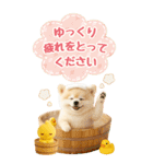 癒しポメラニアンの気軽な敬語【BIG】（個別スタンプ：17）