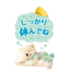 癒しポメラニアンの気軽な敬語【BIG】（個別スタンプ：18）