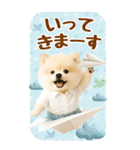 癒しポメラニアンの気軽な敬語【BIG】（個別スタンプ：21）