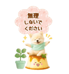 癒しポメラニアンの気軽な敬語【BIG】（個別スタンプ：24）