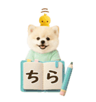 癒しポメラニアンの気軽な敬語【BIG】（個別スタンプ：25）