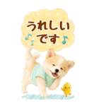 癒しポメラニアンの気軽な敬語【BIG】（個別スタンプ：27）