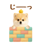 癒しポメラニアンの気軽な敬語【BIG】（個別スタンプ：28）