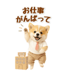 癒しポメラニアンの気軽な敬語【BIG】（個別スタンプ：37）