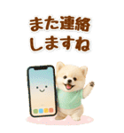 癒しポメラニアンの気軽な敬語【BIG】（個別スタンプ：38）
