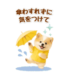 癒しポメラニアンの気軽な敬語【BIG】（個別スタンプ：39）