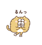すんとしたねこ 絡みたい（個別スタンプ：13）