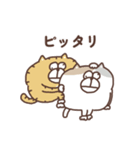 すんとしたねこ 絡みたい（個別スタンプ：14）