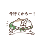 すんとしたねこ 絡みたい（個別スタンプ：17）