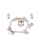 すんとしたねこ 絡みたい（個別スタンプ：31）