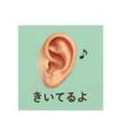 物言う人体パーツ（個別スタンプ：8）