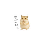 ハムスターのちっちゃいスタンプだよ（個別スタンプ：3）