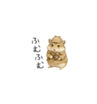 ハムスターのちっちゃいスタンプだよ（個別スタンプ：9）