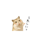 ハムスターのちっちゃいスタンプだよ（個別スタンプ：16）