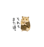 ハムスターのちっちゃいスタンプだよ（個別スタンプ：19）