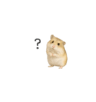 ハムスターのちっちゃいスタンプだよ（個別スタンプ：24）