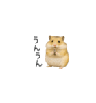 ハムスターのちっちゃいスタンプだよ（個別スタンプ：28）