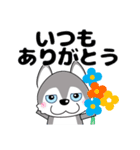優しい大人の気づかいシベリアンハスキー（個別スタンプ：1）