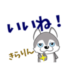 優しい大人の気づかいシベリアンハスキー（個別スタンプ：4）