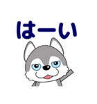 優しい大人の気づかいシベリアンハスキー（個別スタンプ：11）