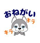 優しい大人の気づかいシベリアンハスキー（個別スタンプ：12）