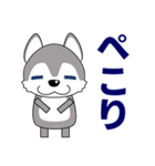 優しい大人の気づかいシベリアンハスキー（個別スタンプ：16）